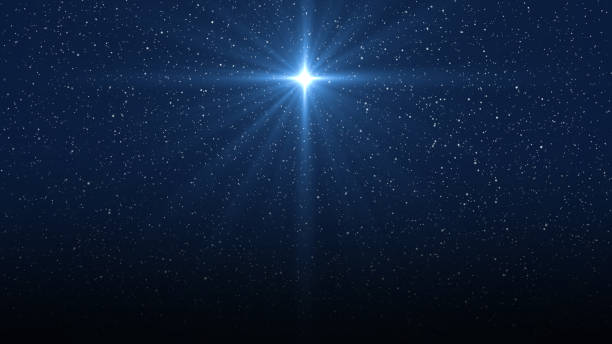 istockphoto 1297022393 612x612